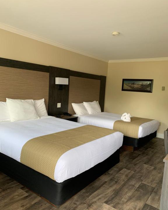 Summerside Hotel | Cairns Motel
