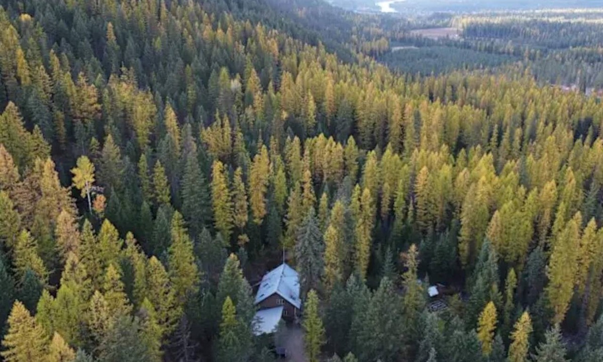 Clark Fork Cabin | Cozy Mountain Bungalow for camping, relaxing, & exploring