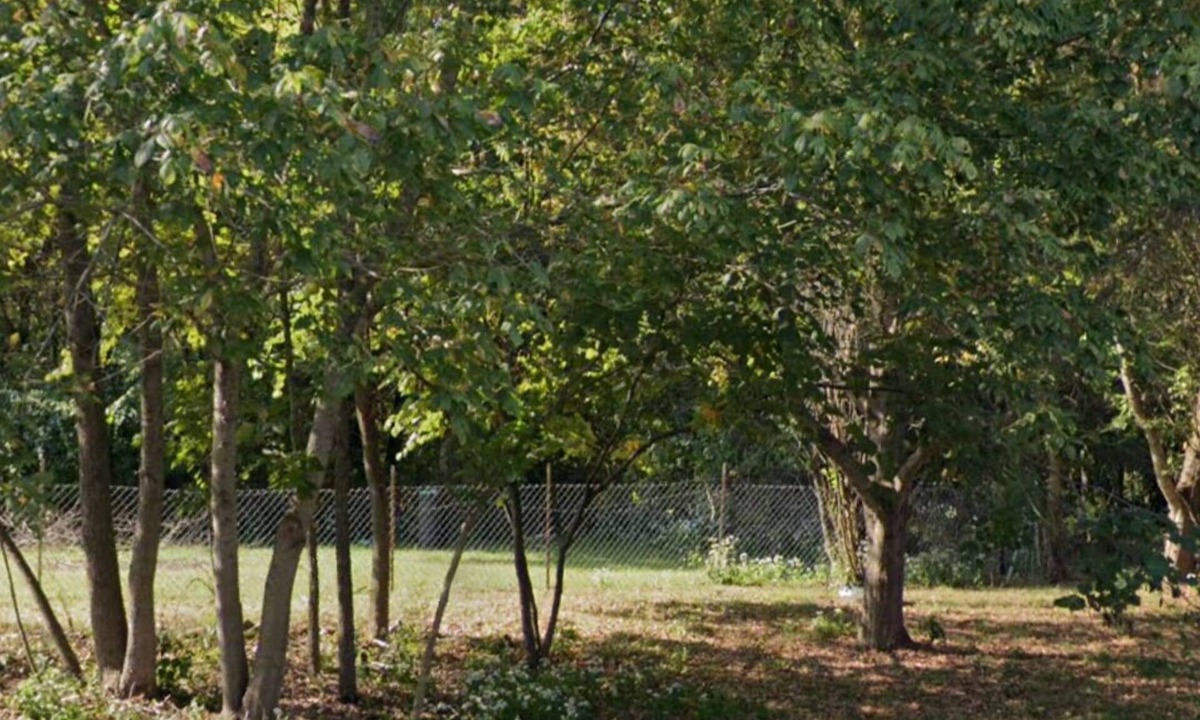 Murphysboro RV Rental | Eclipse Campsite 2
