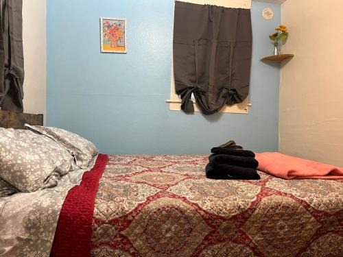 Johnson City Apartment | Fanciful, Comfy Private Room - Lourdes Hospital