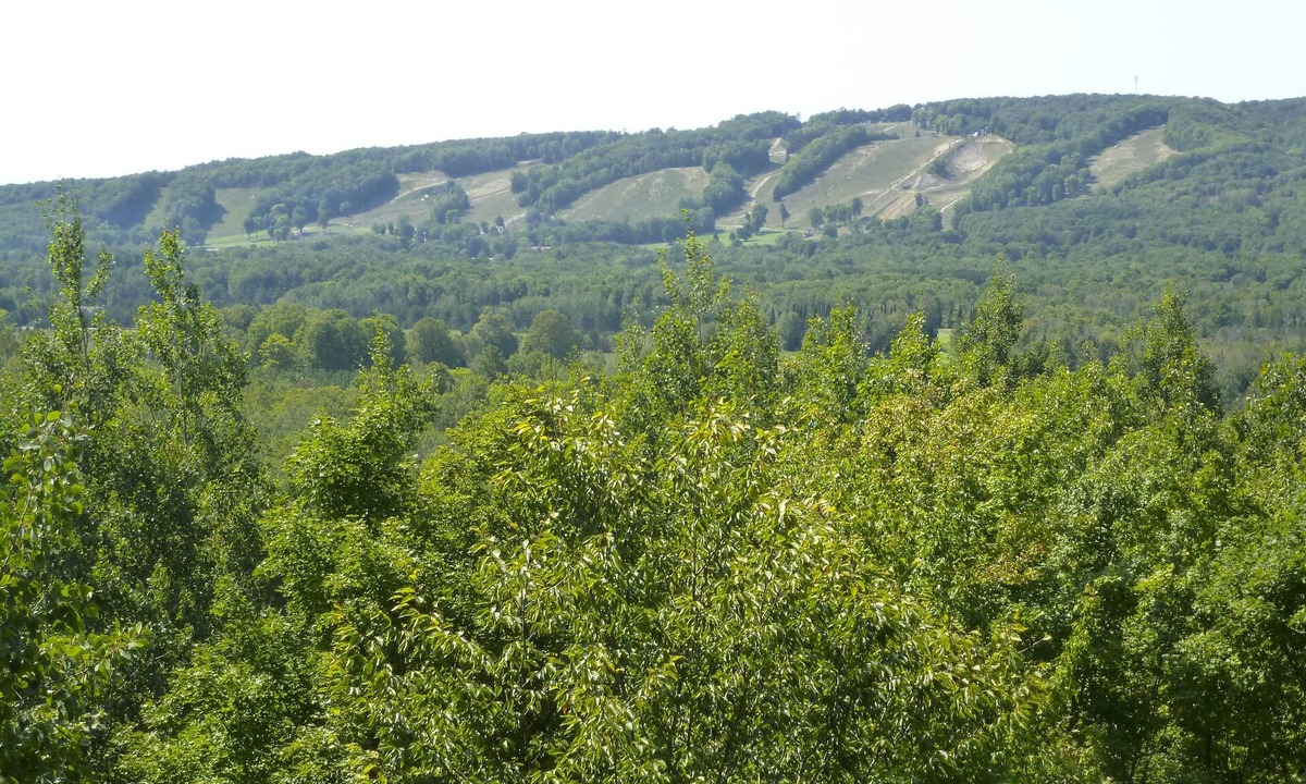 Harbor Springs House | Highlands View Cottage A Perfect 4 Season Getaway