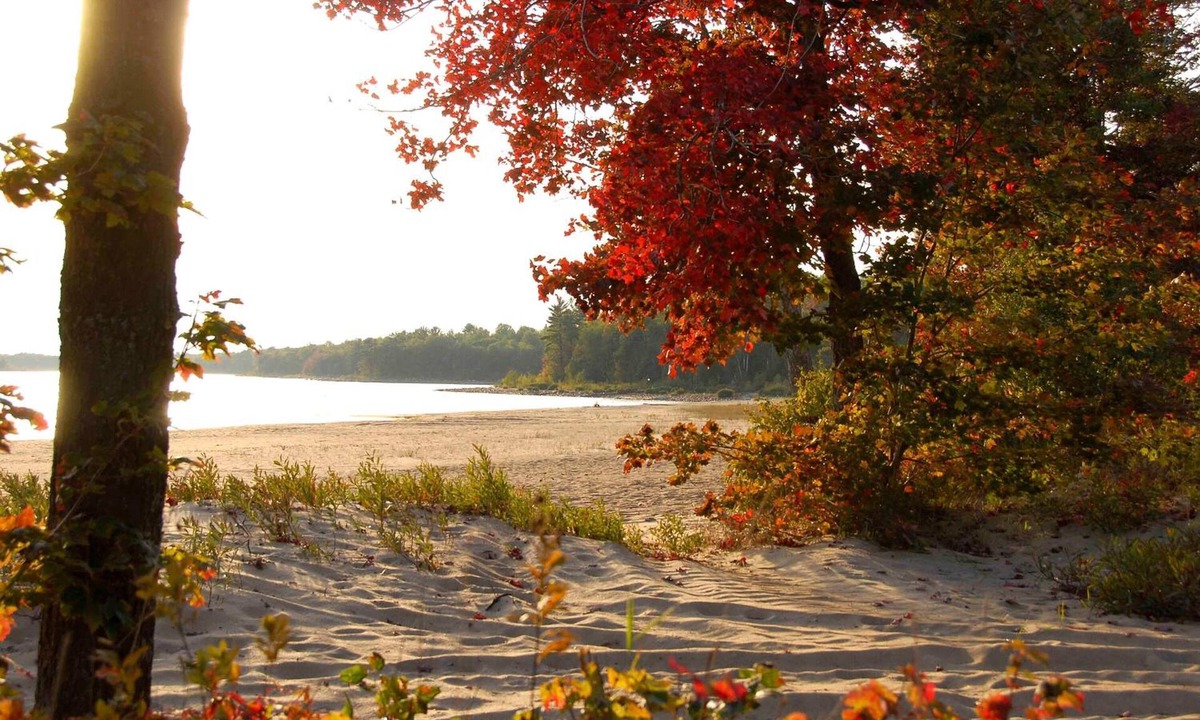 Blind River Hotel | Lakeview Inn