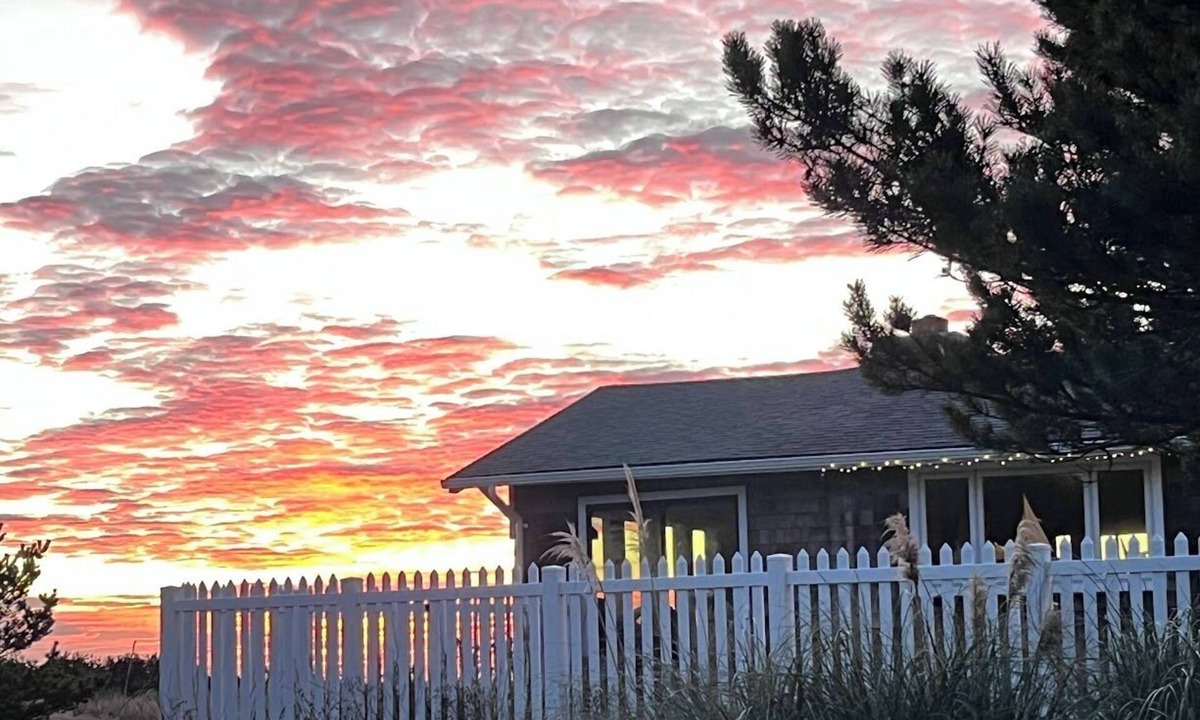 Long Beach Cabin | Ocean-front Cedar Cabin, Horse/Dog friendly, Birdwatcher's paradise!