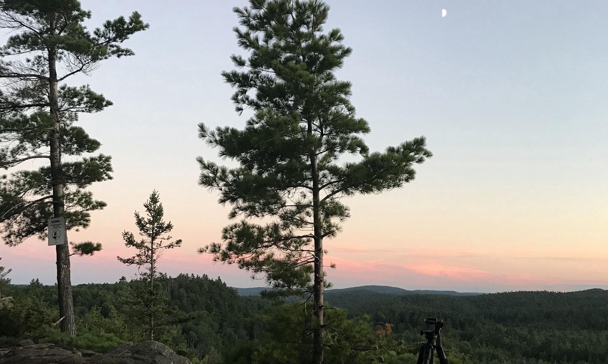 Glenfield Cabin | Rustic Retreat - Private camping, small lake, cabin for sleeping.