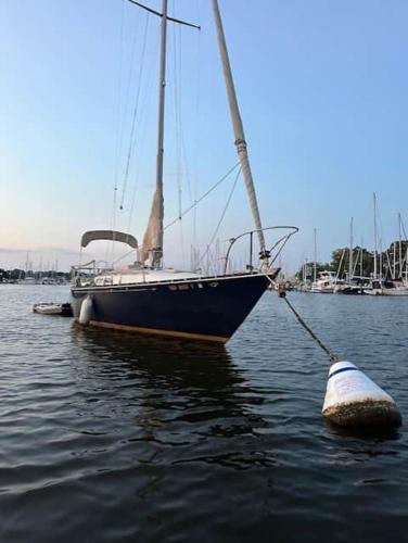 Annapolis Boat Rental | Sailboat Experience in Annapolis