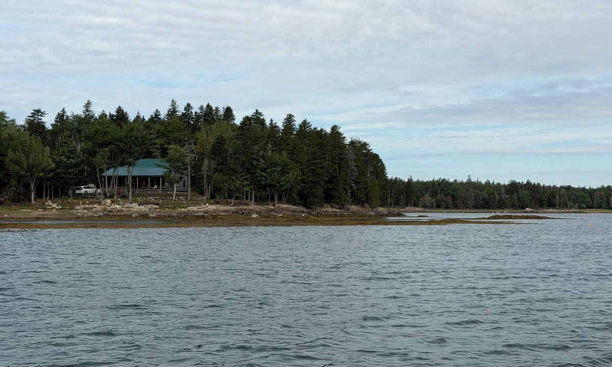 Steuben Cabin | Shoreline solitude, rustic, nestled between evergreens and Pigeon Hill Bay
