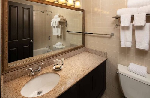 West Bellevue Hotel | 2 Comfortable Units! A quick drive away from Downtown Bellevue! Pets Allowed!