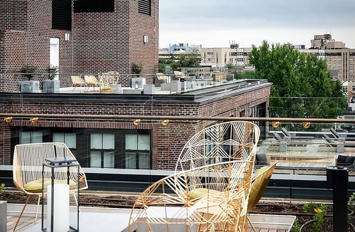 Adams Morgan Hotel | 3 Spacious Units, Pet-friendly Property Near Walter Pierce Park!