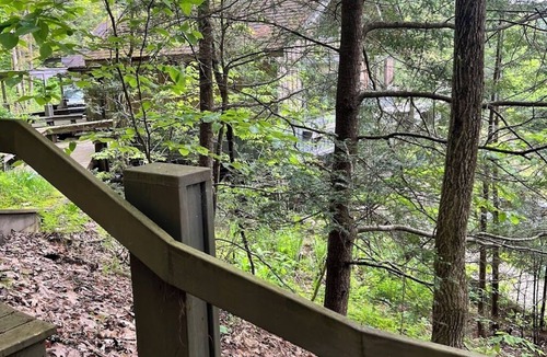 Downsville Cabin | A Composer's View