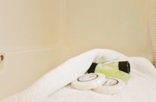 Kamloops Hotel | Alpine Motel