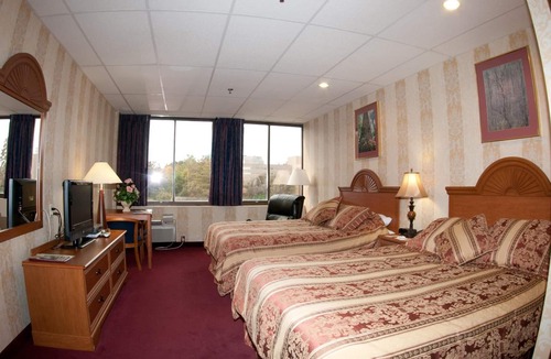 Downtown Hotel | Amsterdam Hotel