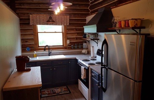 Nemo Cabin | Authentic Black Hills Creekside Cabin