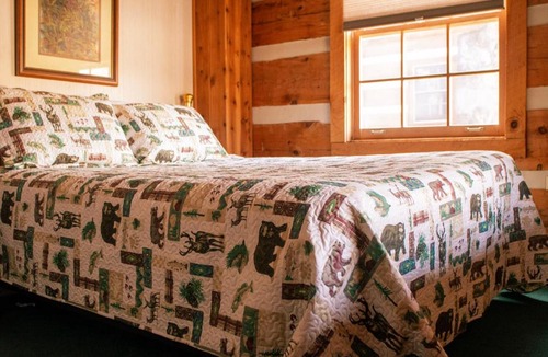 Pittman Center Ski Chalet | Beary Cozy- Tiny Cabin Getaway!