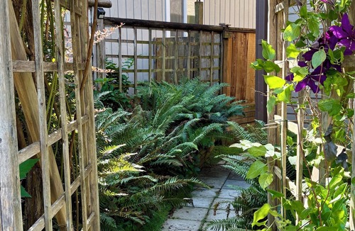 Coquitlam House | Bright & Modern Burquitlam Suite – Quiet, Convenient, Nature‑Close