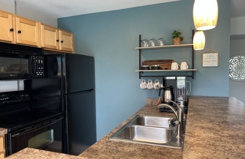 Douglas Condo | Celestial Pointe Condominium 1 Bedroom 1 Bathroom, Sleeps 4 @ Northern Lights