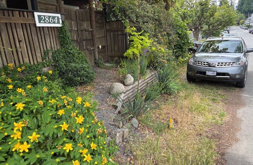 Chemainus Apartment | Centrally located private studio in Chemainus