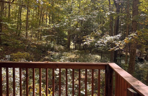 Bloomington Cabin | Charming 3-bedroom cabin near Indiana University!