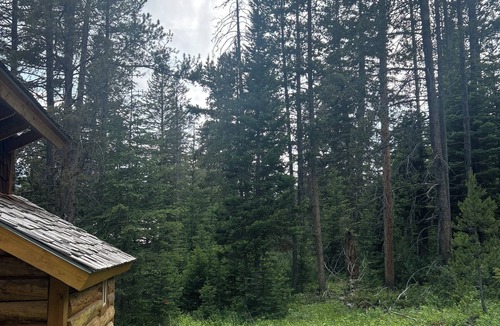 Cooke City-Silver Gate Cabin | Charming cabin with WiFi in Silver Gate/Cooke City