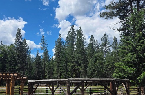 Plains Cabin | Charming studio cabin outside of Plains, a small mountain town.