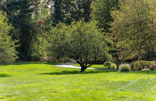 North Haven Apartment | Comfortable guest suite w/fire pit on gorgeous property -Pet Friendly!