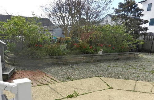 Ship Bottom House | Compact and cozy two-bedroom duplex sleeps six.
