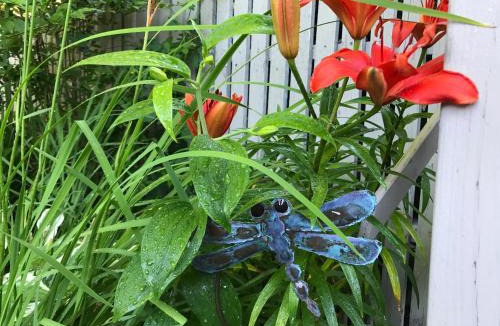 Ogunquit House | Dragonfly Guest House
