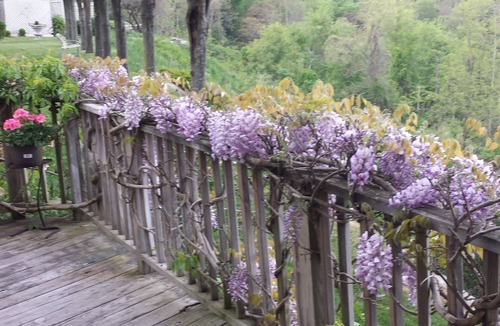 Blue Ridge Summit Cottage | Endless View Ski Cottage, hiking and fire pit 1 and 1/2 hrs from DC/Balt.!
