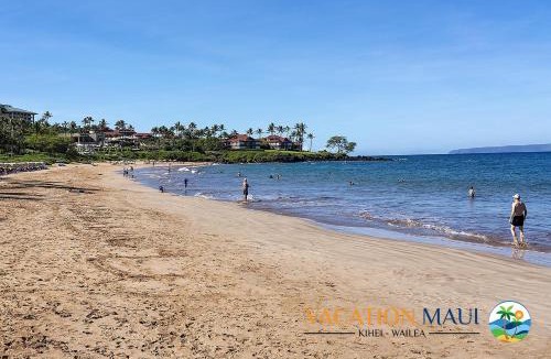 Wailea House | Experience Wailea Ekahi 4E, Greenbelt Location, New Split-AC, Serene & Stylish!