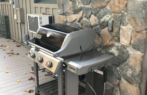 Town of Copake House | Lakefront +pets +skiing +bbq +firepit +games