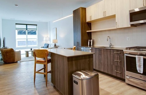 Ashburn Apartment | Landing at BLVD Commons - 1 Bedroom in Downtown Ashburn
