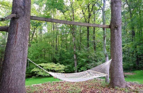 Milton Apartment | Luxurious & Spacious Apartment in Wooded Home