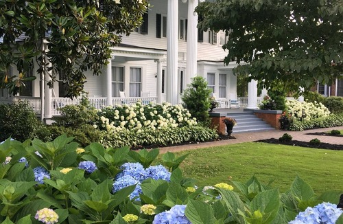 Walhalla House | Main Floor Elegant Suite