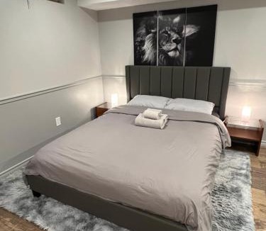 North York House | Modern, basement apartment, close to airport