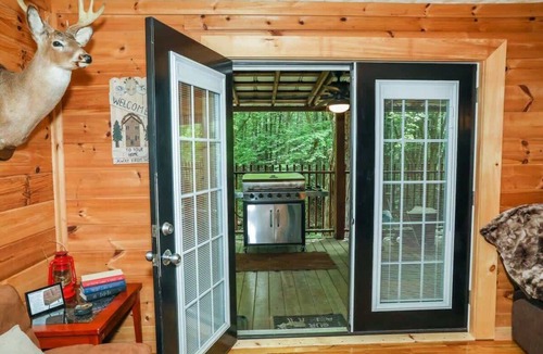 Willis Cabin | Off the Beaten Path by Buffalo Mountain Getaway