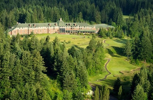 Stevenson Hotel | Premier King Room with Fireplace and Forest Views