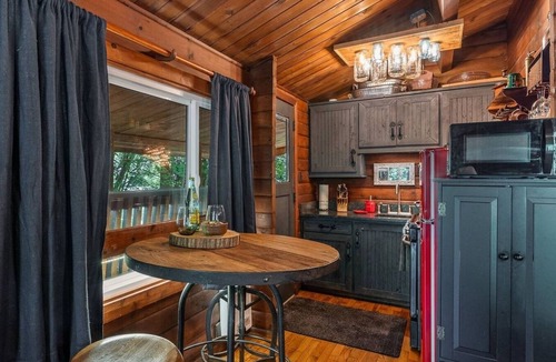 North Bend Cabin | Relax at this Peaceful 1 bedroom cabin on the river