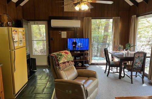 Pittman Center Ski Chalet | River Rhapsody