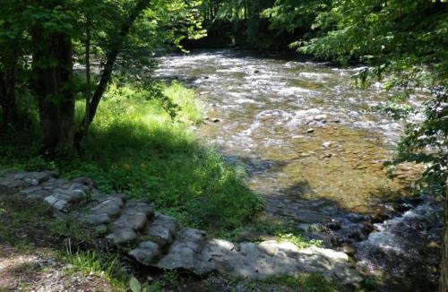 Pittman Center Ski Chalet | River Rhapsody