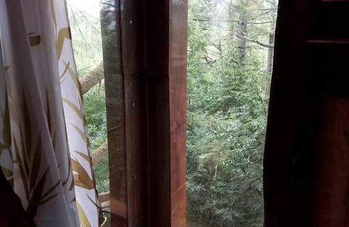 Bodega Bay Cabin | Secluded Treehouse Hideaway with Firepit and Forest Views in Bodega Bay, California