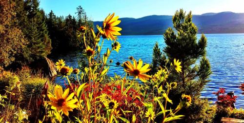 Tuwanek Cabin | The Tuwanek Bed and Breakfast