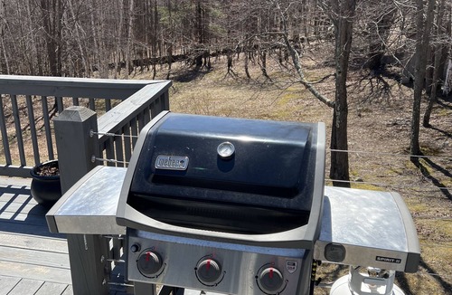 Prattsville House | Tranquil, Modern Retreat with Distant Mountain Views, Sauna, Wood Stove
