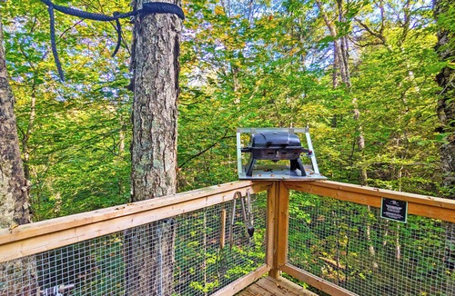 Saint-Faustin-Lac-Carre House | Treehouse between two trees, suspension bridge and deck | Lodging #13