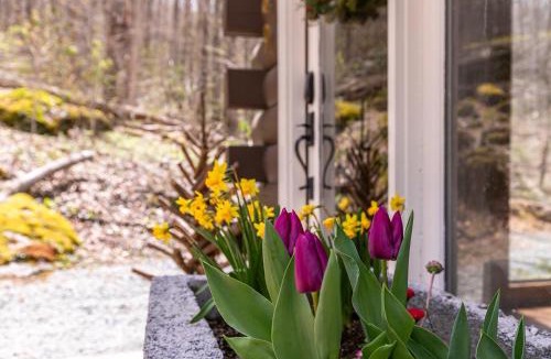 Boone House | Tweetsie Den