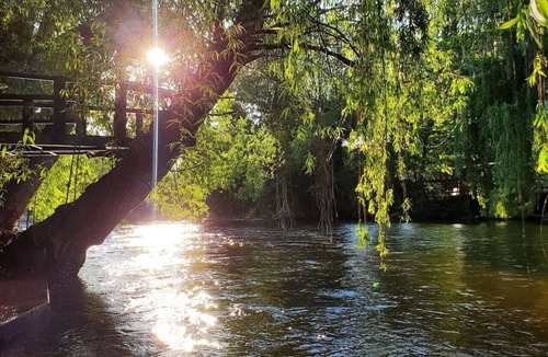South Pandosy House | Waterfront Oasis with Pool, Hot Tub, Pet Friendly