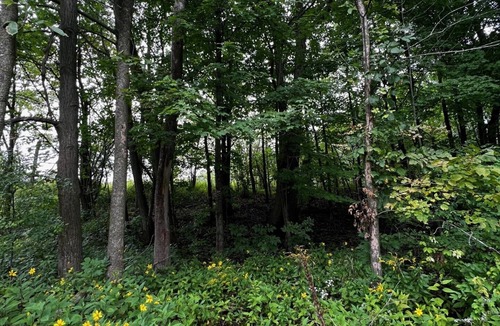 Champlain RV Rental | Wild Camping retreat with river view!