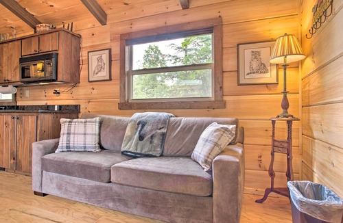 Mill Spring Cabin | Year-Round Adventure! Rustic Cabin in Mill Spring