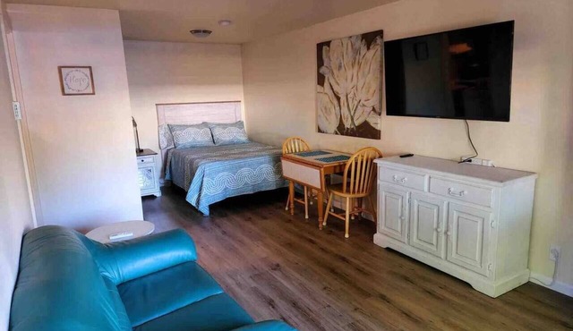 2B- Darling studio near U of O and Downtown