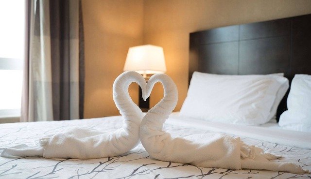 Best Western Plus South Edmonton Inn & Suites