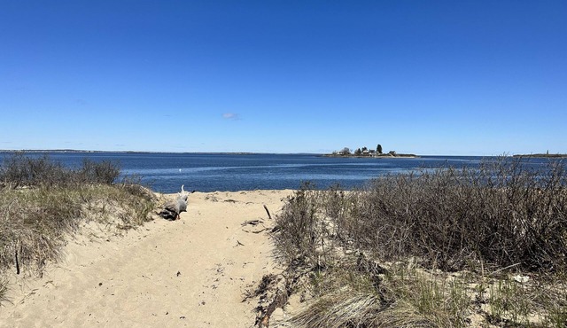 Biddeford Pool Beach Condo - Steps to the Sand - 1BR/1BA
