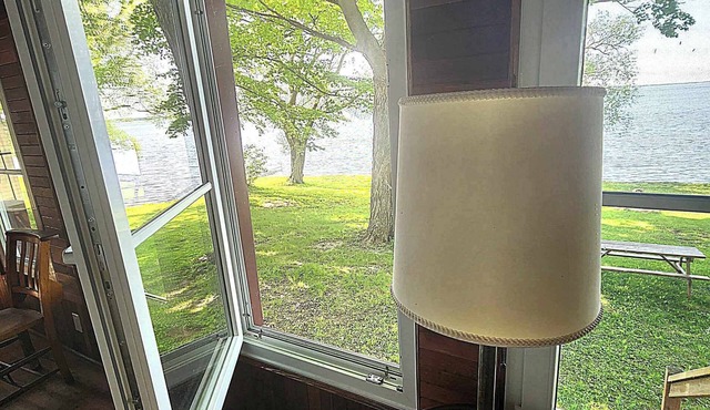 Birdwatcher's Paradise